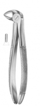  Fig. 33S lower roots for children 